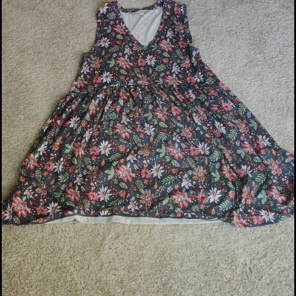 Anne Taylor loft swing dress